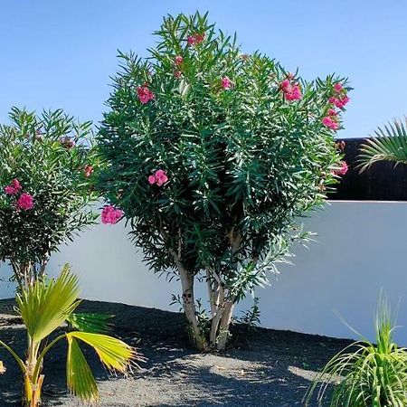 Villa Fedelian 2 Playa Blanca Екстер'єр фото